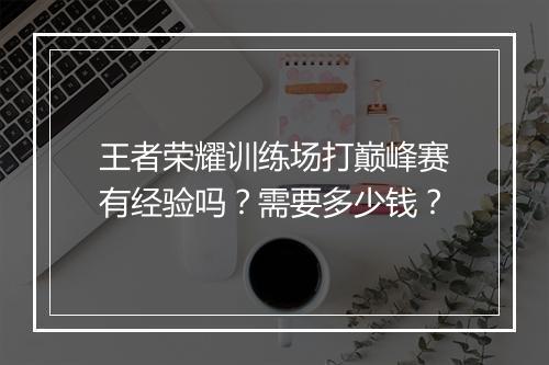 王者荣耀训练场打巅峰赛有经验吗？需要多少钱？