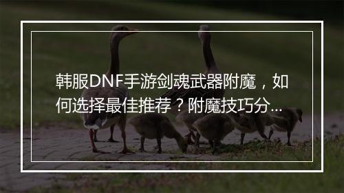 韩服DNF手游剑魂武器附魔，如何选择最佳推荐？附魔技巧分享？