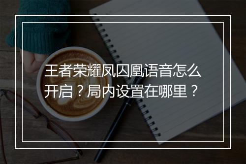 王者荣耀凤囚凰语音怎么开启？局内设置在哪里？