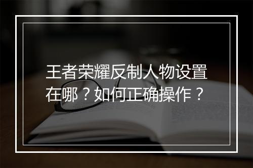 王者荣耀反制人物设置在哪？如何正确操作？