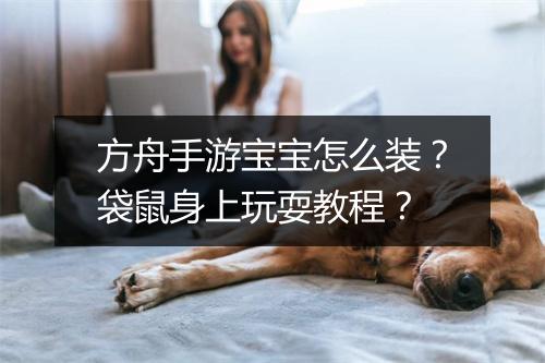 方舟手游宝宝怎么装？袋鼠身上玩耍教程？