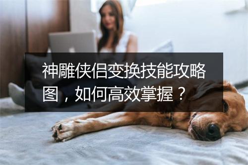 神雕侠侣变换技能攻略图，如何高效掌握？