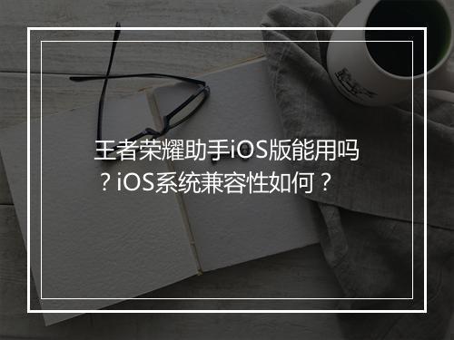 王者荣耀助手iOS版能用吗？iOS系统兼容性如何？