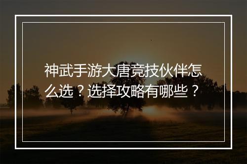 神武手游大唐竞技伙伴怎么选？选择攻略有哪些？