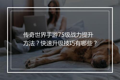 传奇世界手游75级战力提升方法？快速升级技巧有哪些？