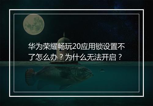 华为荣耀畅玩20应用锁设置不了怎么办？为什么无法开启？