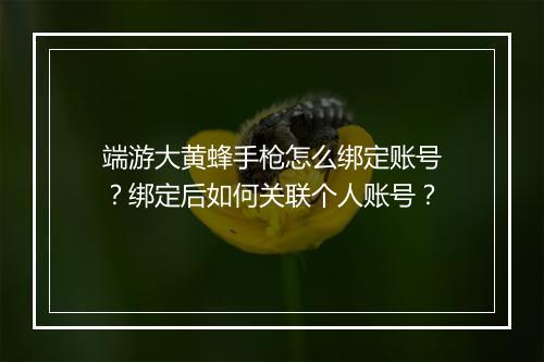 端游大黄蜂手枪怎么绑定账号？绑定后如何关联个人账号？