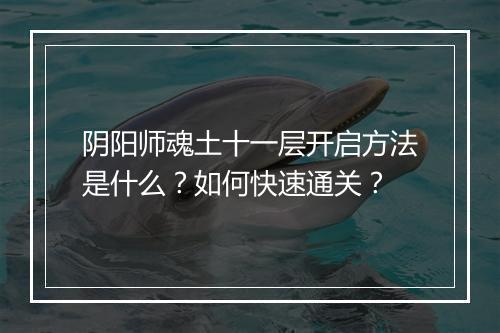 阴阳师魂土十一层开启方法是什么？如何快速通关？