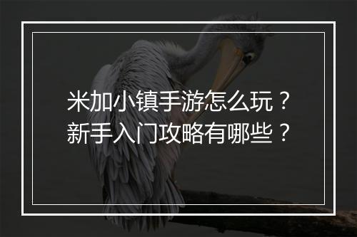 米加小镇手游怎么玩？新手入门攻略有哪些？