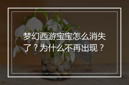 梦幻西游宝宝怎么消失了？为什么不再出现？