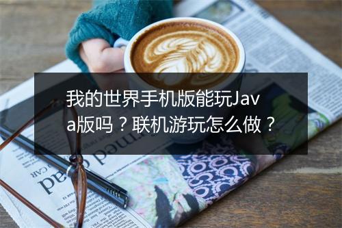 我的世界手机版能玩Java版吗？联机游玩怎么做？