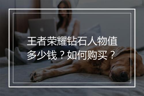 王者荣耀钻石人物值多少钱？如何购买？