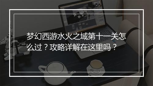 梦幻西游水火之域第十一关怎么过？攻略详解在这里吗？