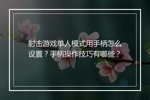 射击游戏单人模式用手柄怎么设置？手柄操作技巧有哪些？