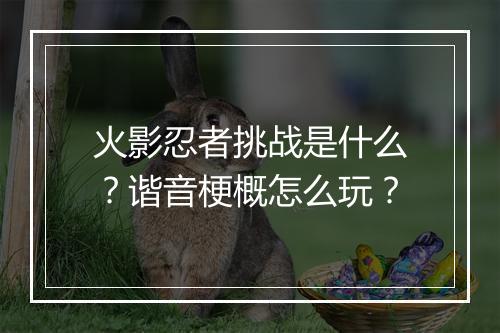 火影忍者挑战是什么？谐音梗概怎么玩？