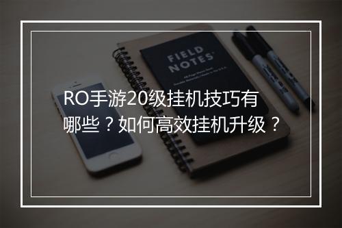 RO手游20级挂机技巧有哪些？如何高效挂机升级？