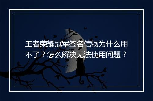 王者荣耀冠军签名信物为什么用不了？怎么解决无法使用问题？