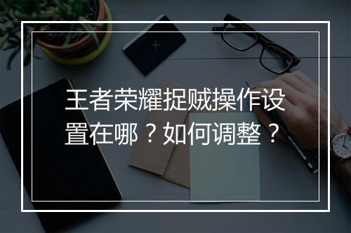 王者荣耀捉贼操作设置在哪？如何调整？
