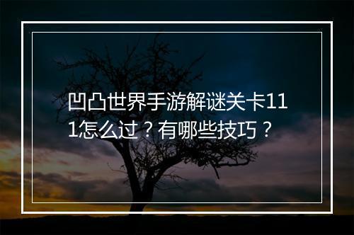 凹凸世界手游解谜关卡111怎么过？有哪些技巧？