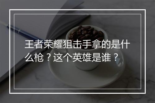 王者荣耀狙击手拿的是什么枪？这个英雄是谁？