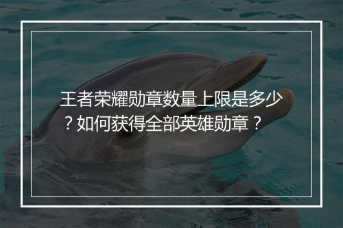 王者荣耀勋章数量上限是多少？如何获得全部英雄勋章？