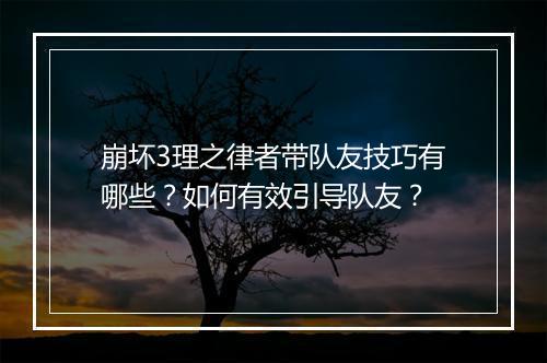 崩坏3理之律者带队友技巧有哪些？如何有效引导队友？