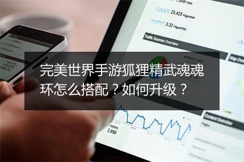 完美世界手游狐狸精武魂魂环怎么搭配？如何升级？