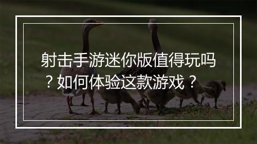射击手游迷你版值得玩吗？如何体验这款游戏？