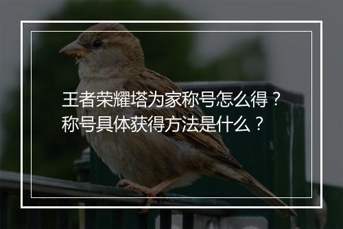 王者荣耀塔为家称号怎么得？称号具体获得方法是什么？