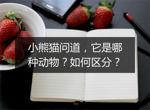 小熊猫问道，它是哪种动物？如何区分？