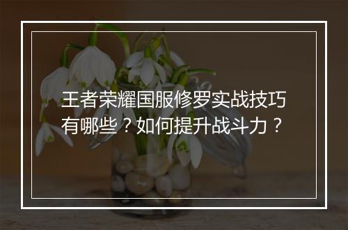 王者荣耀国服修罗实战技巧有哪些？如何提升战斗力？