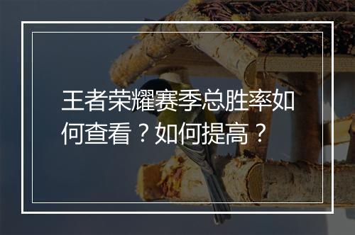 王者荣耀赛季总胜率如何查看？如何提高？