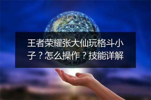 王者荣耀张大仙玩格斗小子？怎么操作？技能详解