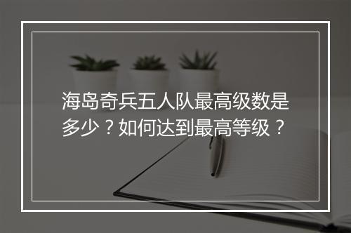 海岛奇兵五人队最高级数是多少？如何达到最高等级？