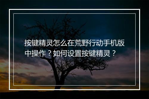按键精灵怎么在荒野行动手机版中操作？如何设置按键精灵？