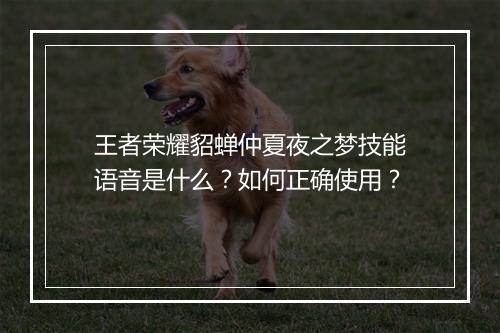 王者荣耀貂蝉仲夏夜之梦技能语音是什么？如何正确使用？
