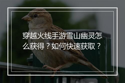 穿越火线手游雪山幽灵怎么获得？如何快速获取？