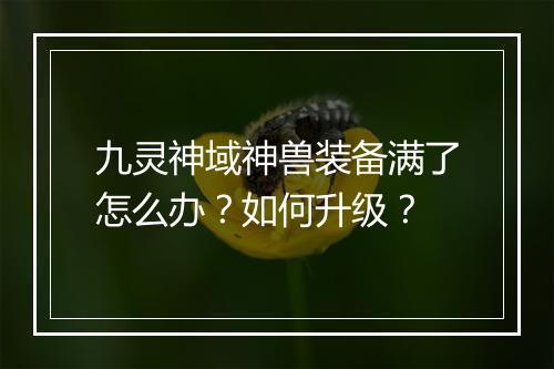 九灵神域神兽装备满了怎么办？如何升级？