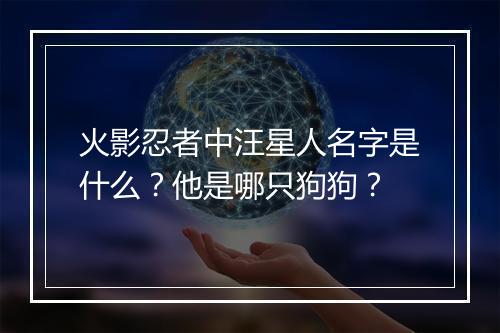 火影忍者中汪星人名字是什么？他是哪只狗狗？