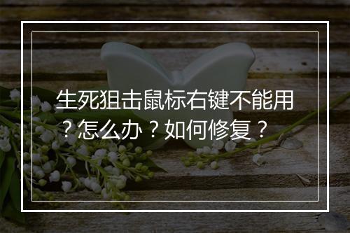 生死狙击鼠标右键不能用？怎么办？如何修复？