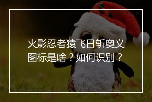 火影忍者猿飞日斩奥义图标是啥？如何识别？