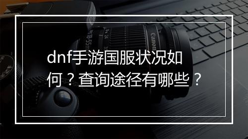 dnf手游国服状况如何？查询途径有哪些？