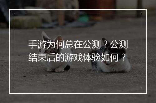 手游为何总在公测？公测结束后的游戏体验如何？