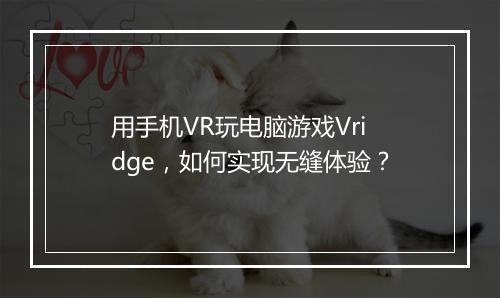 用手机VR玩电脑游戏Vridge，如何实现无缝体验？