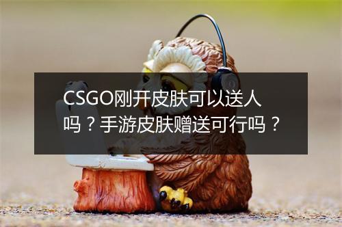 CSGO刚开皮肤可以送人吗？手游皮肤赠送可行吗？