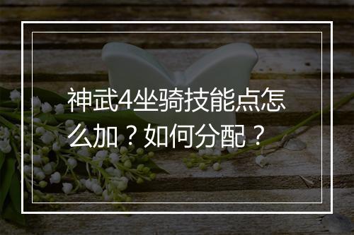 神武4坐骑技能点怎么加？如何分配？