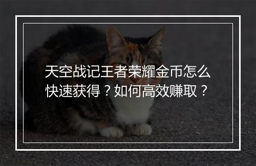 天空战记王者荣耀金币怎么快速获得？如何高效赚取？