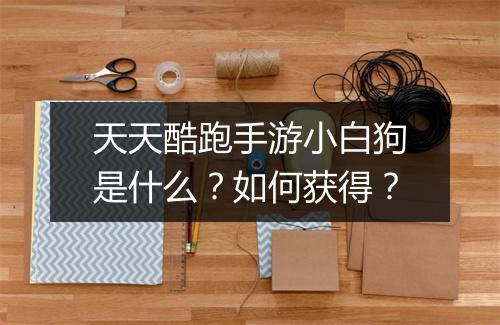 天天酷跑手游小白狗是什么？如何获得？