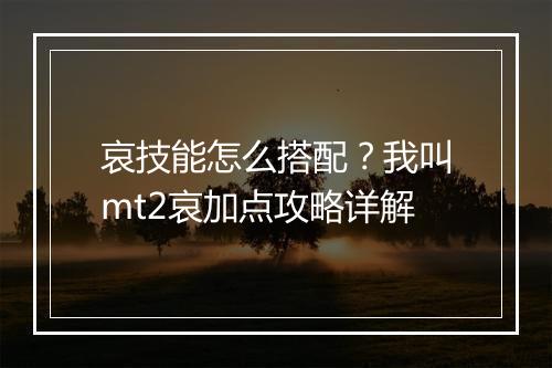 哀技能怎么搭配？我叫mt2哀加点攻略详解