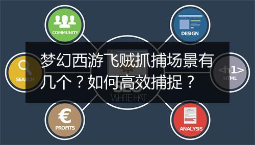梦幻西游飞贼抓捕场景有几个？如何高效捕捉？